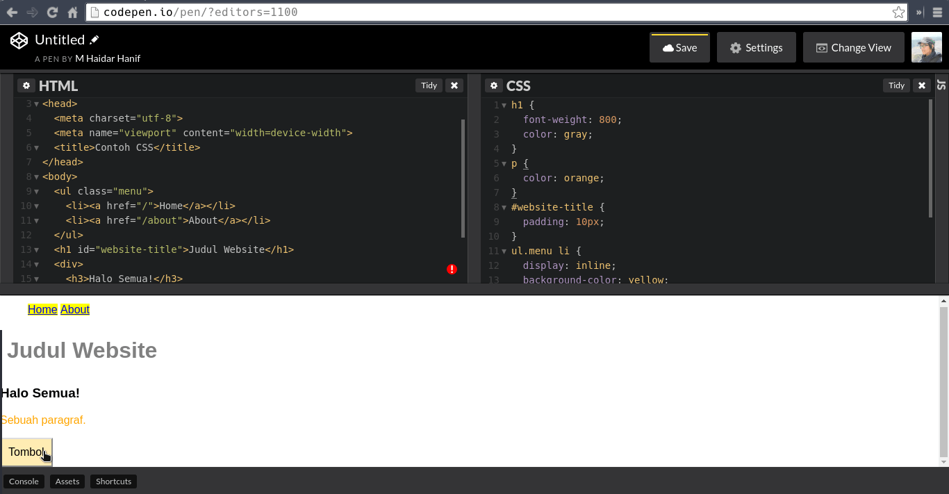 Contoh CSS di Codepen